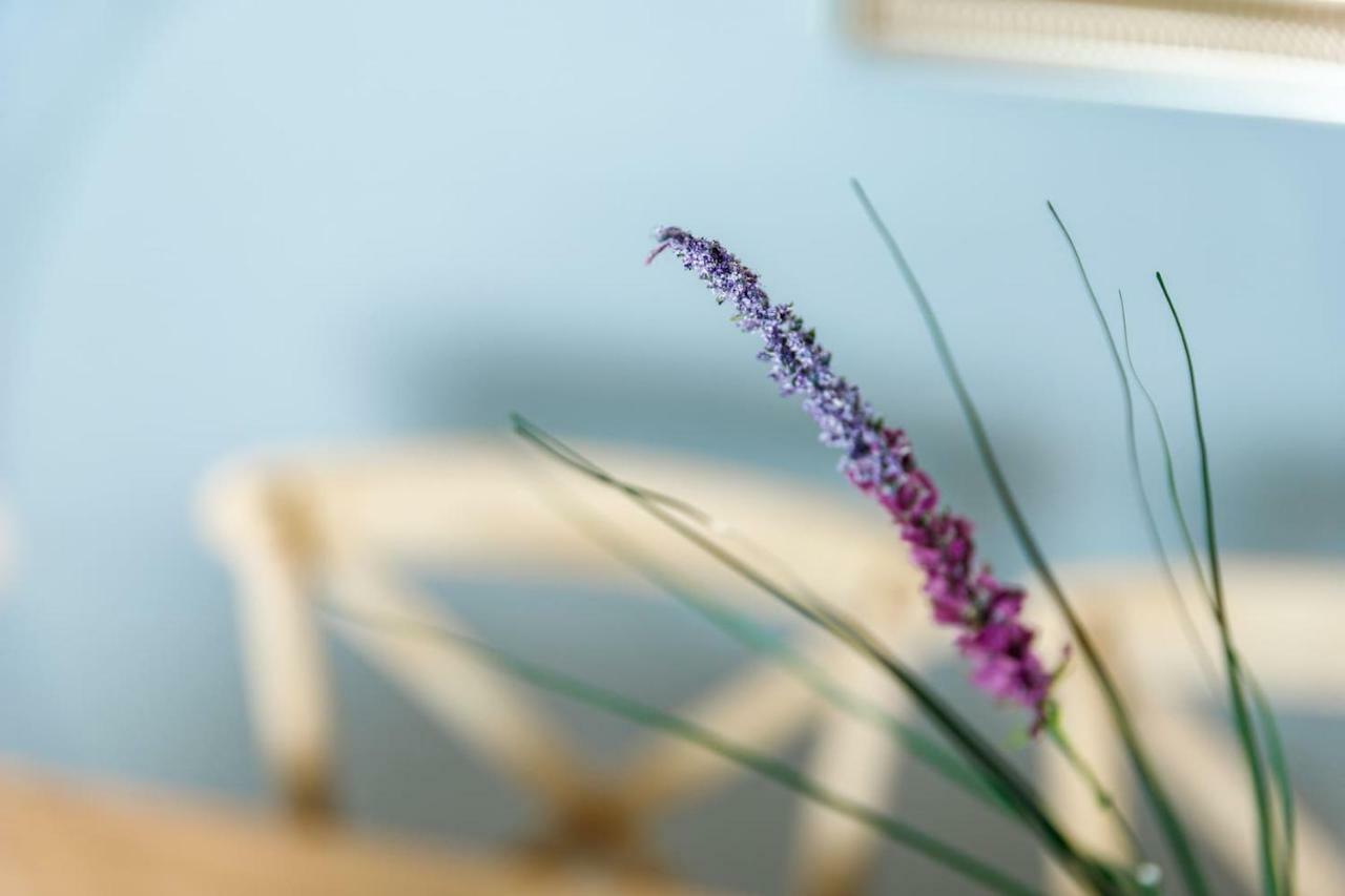 Charming And Comfy House Apartment Agia Marina  ภายนอก รูปภาพ