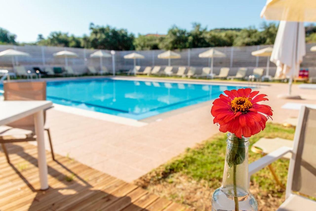 Charming And Comfy House Apartment Agia Marina  ภายนอก รูปภาพ